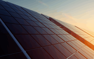 Horizeo, l’hypocrite projet du plus grand parc photovoltaïque d’Europe à Saucats !