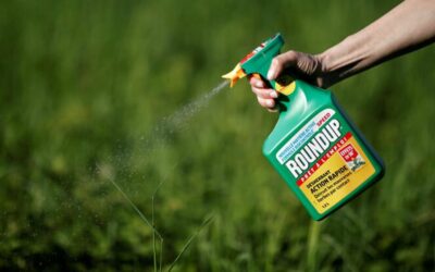 Glyphosate : De scandales en scandales, une bataille au long cours