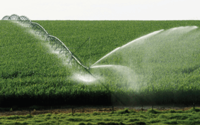 Le projet de loi Agriculture est une coquille vide au service des lobbies et des industriels