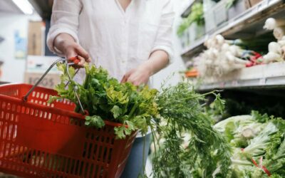 Commission d’enquête sur l’alimentation industrielle 3 / 4 – Les acteurs citoyens : transparence, effet cocktail et gouvernance renforcée