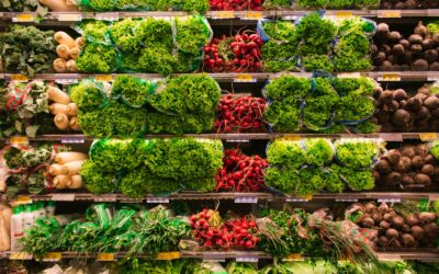 Commission d’enquête sur l’alimentation industrielle 2 / 4 Les entreprises de l’agroalimentaire : opacité, belles intentions et aveuglement volontaire